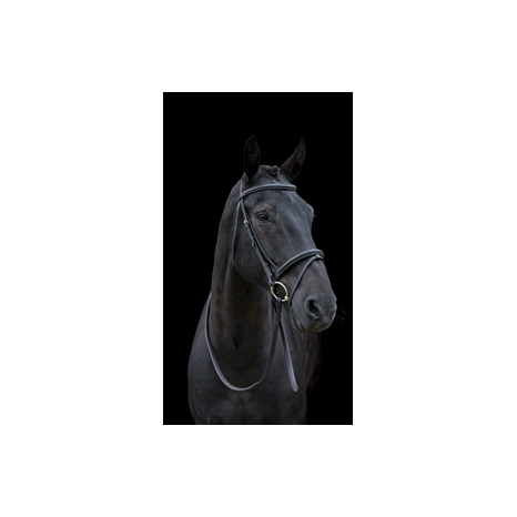 Classic Bridle With Reins