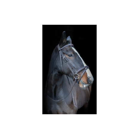 Core Collection Anatomic Bridle With Sure grip Reins
