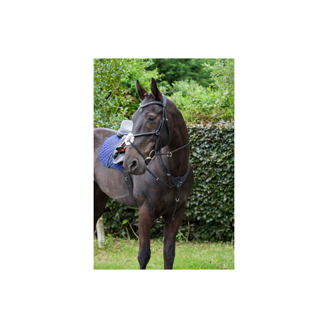 Core Collection Anatomic Grackle Bridle With Reins