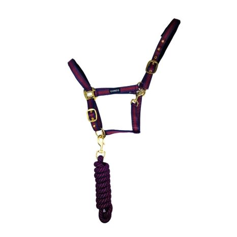 Core collection headcollar and rope