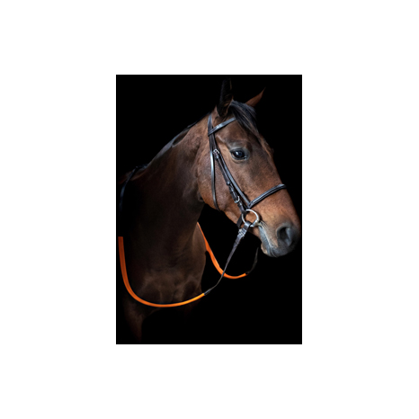 Exercise Bridle With Reins