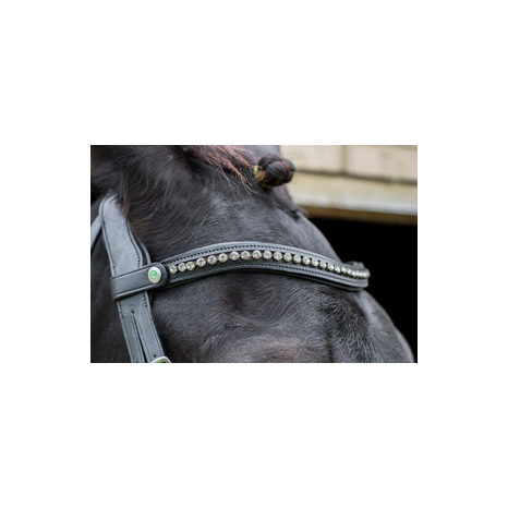 Freedom Browband