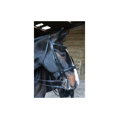 Freedom Double Bridle