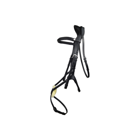 Freedom Grackle Bridle