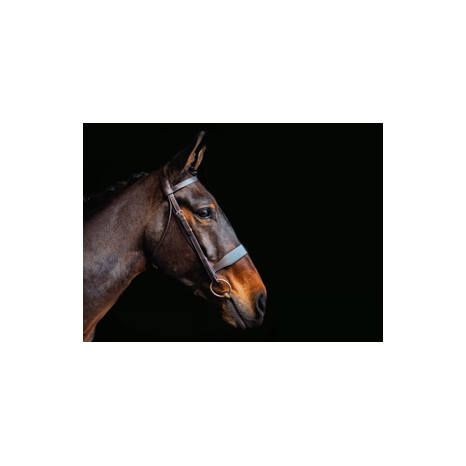 Core Collection Hunt Bridle