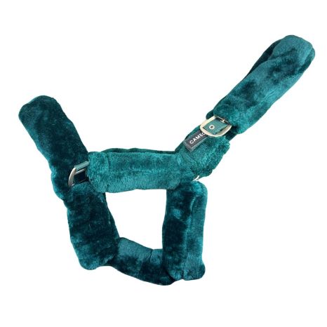 Deluxe Headcollar Green