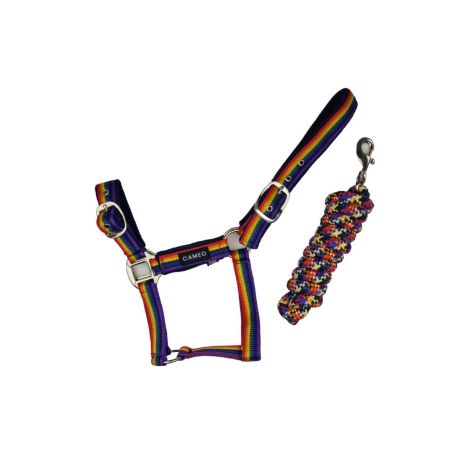 Rainbow Padded Headcollar