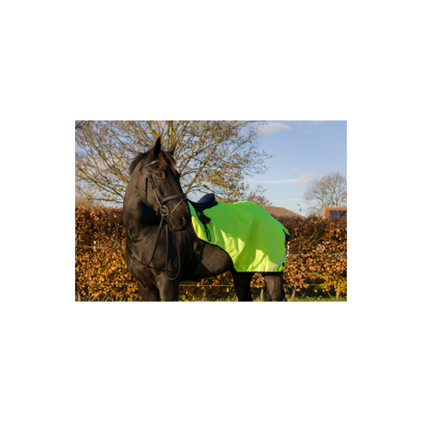 Hi - Viz Wrap Around Exercise Sheet