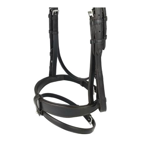 Show Comfort Noseband